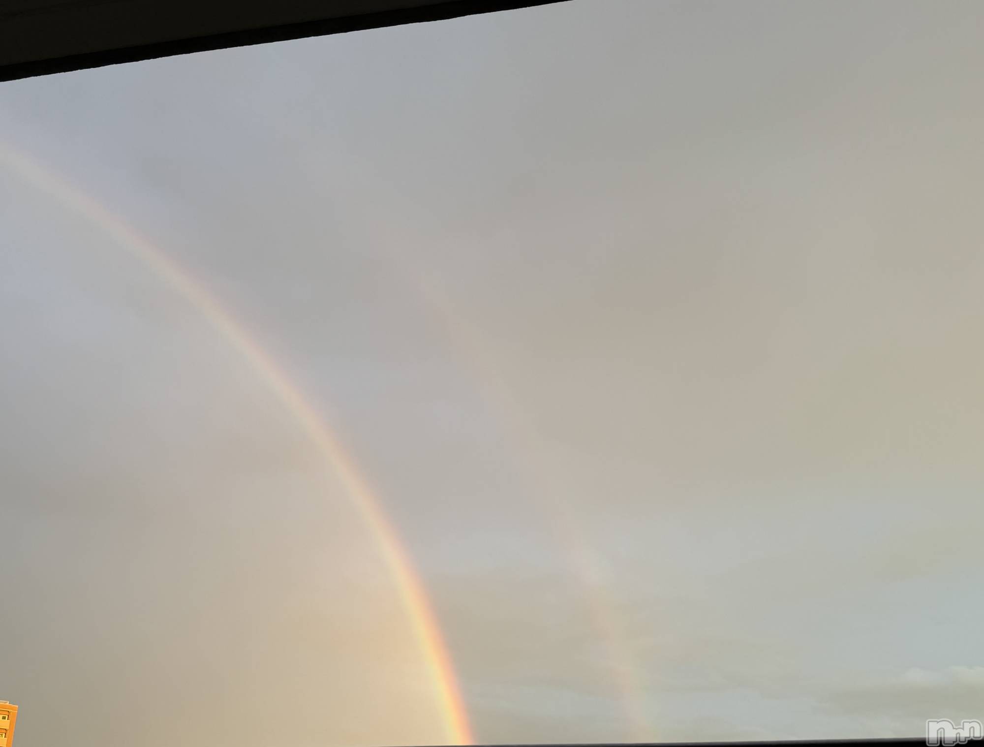ʥå륺СʥåBar Peace(ʥåС ԡ) 2025ǯ729̥֥衹🌈🌈