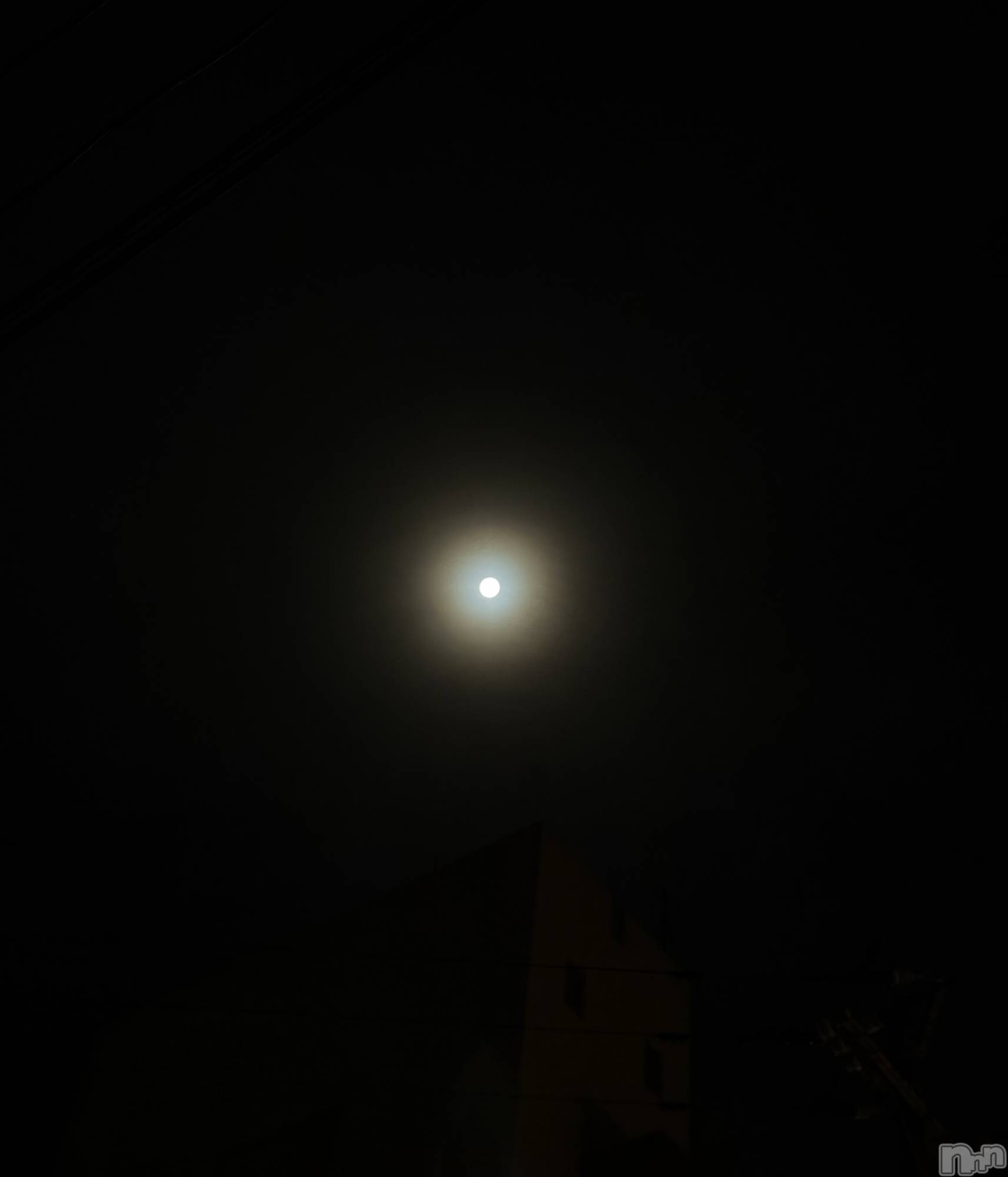 ʥå륺СʥåBar Peace(ʥåС ԡ) 2025ǯ107̥֥🌕