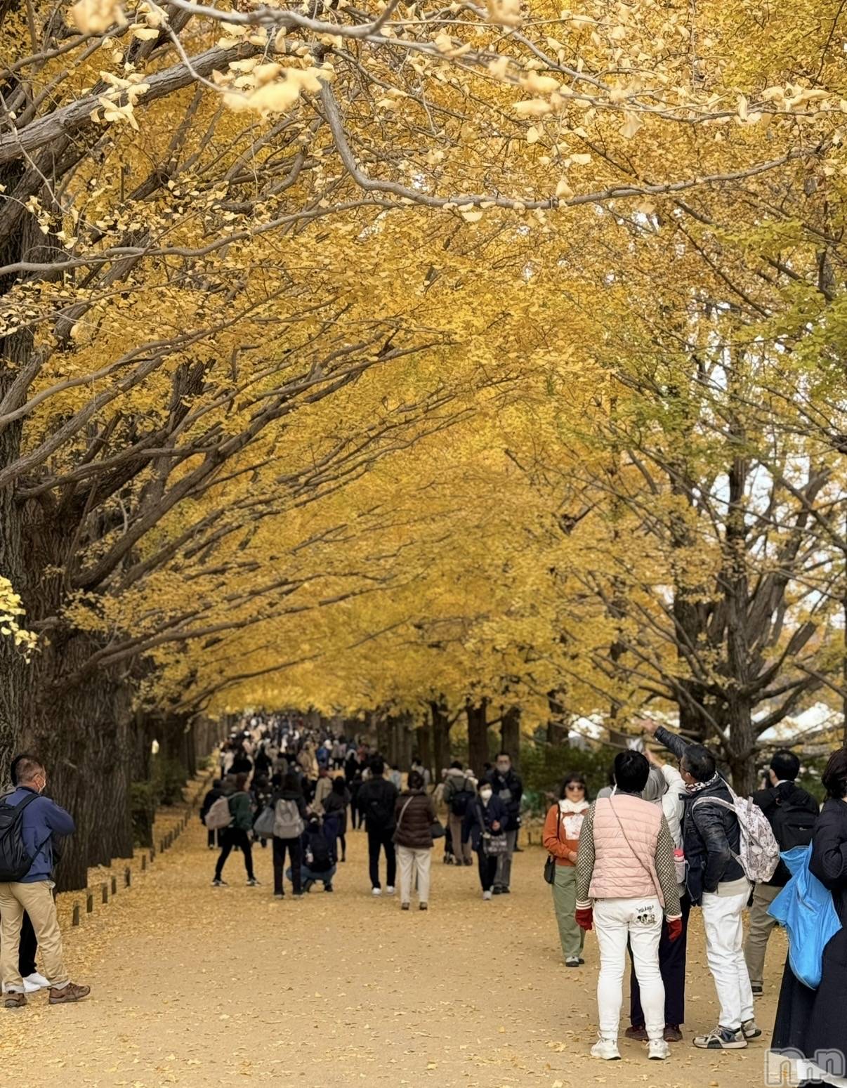 ʥå륺СʥåBar Peace(ʥåС ԡ) 2025ǯ1211̥֥🍁