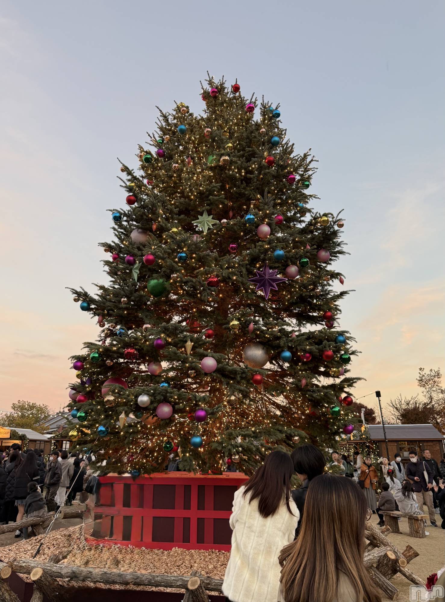 ����������ʥå��������륺�С����ʥå�Bar Peace(���ʥå��С� �ԡ���) ��2025ǯ12��25���̥�֥�����🎄��