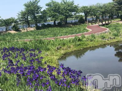 ʥå륺СʥåBar Peace(ʥåС ԡ) ʤ828̥֥🌿