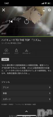 ʥå륺СʥåBar Peace(ʥåС ԡ) ʤ106̥֥106 1906ʬΥ֥