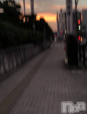ʥå륺СʥåBar Peace(ʥåС ԡ) ʤ1015ֽ̥֥