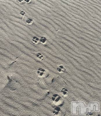 ʥå륺СʥåBar Peace(ʥåС ԡ) ʤ1115̥֥1115 1532ʬΥ֥