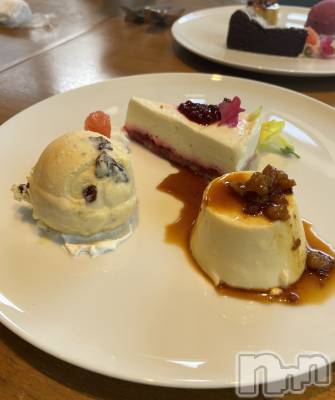 ʥå륺СʥåBar Peace(ʥåС ԡ) ʤ519̥֥🍮🍰🍨
