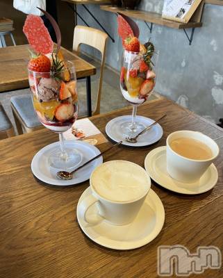 ʥå륺СʥåBar Peace(ʥåС ԡ) ʤ228̥֥🍨🍓