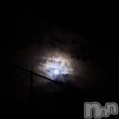 ʥå륺СʥåBar Peace(ʥåС ԡ) ʤ831̥֥🌕