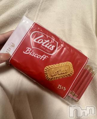 ʥå륺СʥåBar Peace(ʥåС ԡ) ʤ116̥֥🍪