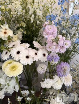 ʥå륺СʥåBar Peace(ʥåС ԡ) ʤ429̥֥🌼
