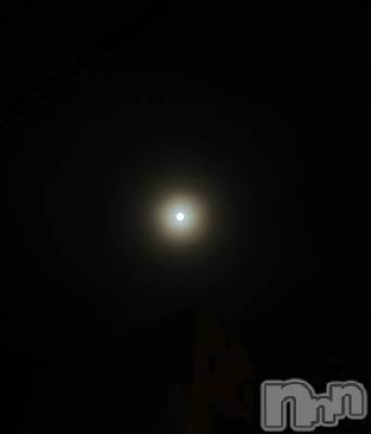 ʥå륺СʥåBar Peace(ʥåС ԡ) ʤ107̥֥🌕