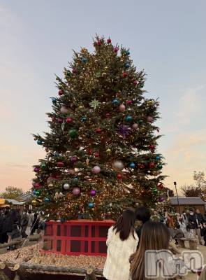 ����������ʥå��������륺�С����ʥå�Bar Peace(���ʥå��С� �ԡ���) ��ʤ�12��25���̥�֥�����🎄��