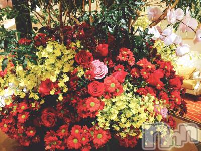 長岡デリヘル 純・無垢(ジュンムク) 体験☆るる(21)の11月4日写メブログ「おれい！4」