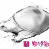長野人妻デリヘル 閨(ネヤ) ゆりあ(44)の6月1日写メブログ「自称M女の晩メシ」