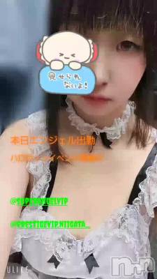 ϥ󥤥٥ȳ🎃