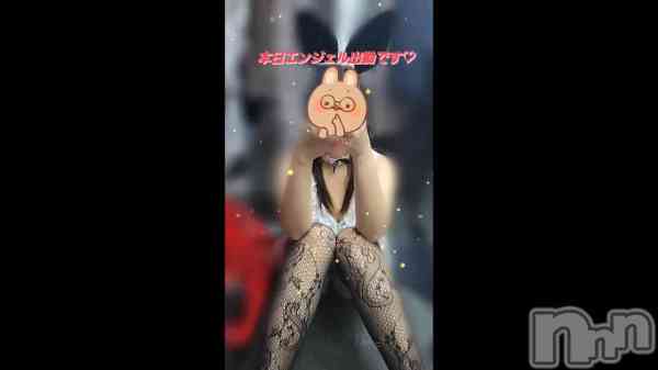 ֥Хˡ٥&#x1F430;