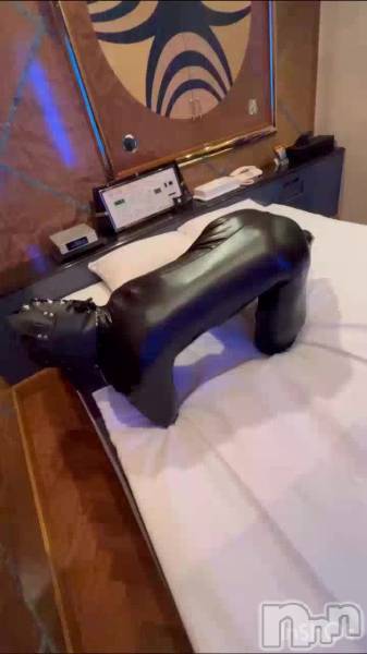 ベッドでお散歩