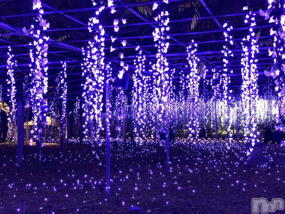 長岡デリヘルMimi(ミミ) ななせ(21)の11月30日写メブログ「みとれちゃった(⑉• •⑉)」