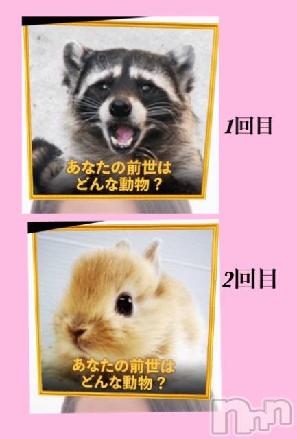 長岡デリヘルMimi(ミミ) ななせ(21)の1月7日写メブログ「すごいな」
