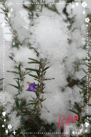 新潟デリヘル五十路マダム新潟店(カサブランカグループ)(イソジマダムニイガタテン)遠藤りか(50)の2022年2月8日写メブログ「お久しぶりです♪」