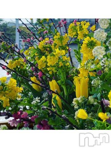 新潟デリヘル五十路マダム新潟店(カサブランカグループ)(イソジマダムニイガタテン)遠藤りか(50)の2022年3月17日写メブログ「大丈夫でしたか？」