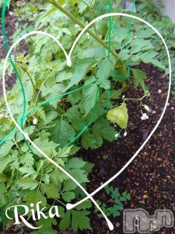 新潟デリヘル五十路マダム新潟店(カサブランカグループ)(イソジマダムニイガタテン)遠藤りか(50)の2022年7月14日写メブログ「今年も♪」