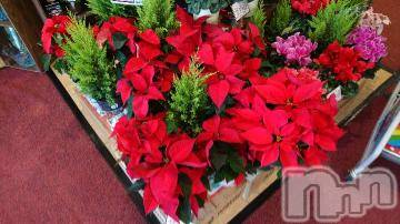 新潟デリヘル 五十路マダム新潟店(カサブランカグループ)(イソジマダムニイガタテン) 遠藤りか(50)の12月1日写メブログ「お礼です(28日)」