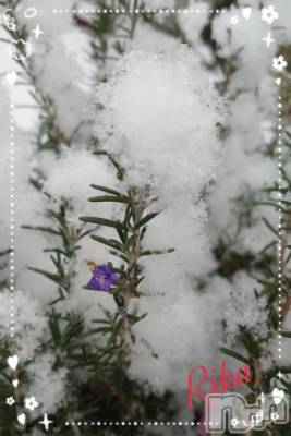 新潟デリヘル 五十路マダム新潟店(カサブランカグループ)(イソジマダムニイガタテン) 遠藤りか(50)の2月8日写メブログ「お久しぶりです♪」