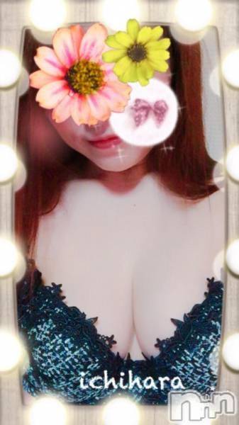 新潟人妻デリヘル(ヒトヅマロウ　ニイガタテン)の2017年7月24日お店速報「業界未経験淫乱新人奥様出勤します☆」