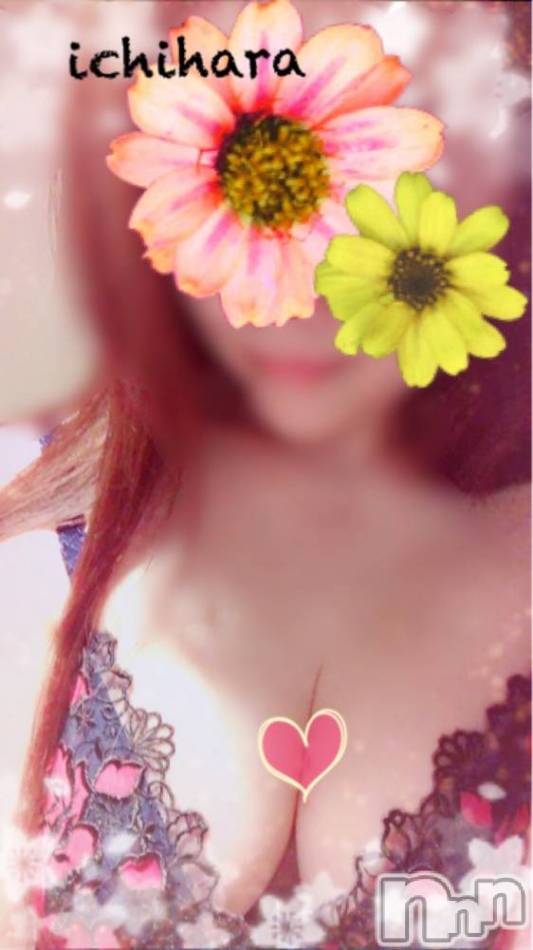 新潟人妻デリヘル(ヒトヅマロウ　ニイガタテン)の2019年4月17日お店速報「今晩もエロさ満開♪♪♪」