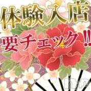 新潟人妻デリヘル 人妻楼　新潟店(ヒトヅマロウ　ニイガタテン)の2月21日お店速報「SSS級新人奥様入店～☆」