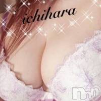 新潟人妻デリヘル 人妻楼　新潟店(ヒトヅマロウ　ニイガタテン)の11月24日お店速報「大人気奥様のご予約枠ございます！！！」