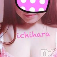 新潟人妻デリヘル 人妻楼　新潟店(ヒトヅマロウ　ニイガタテン)の9月9日お店速報「土曜日の夜は「人妻楼」で決まり！！！」