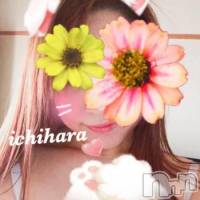 新潟人妻デリヘル 人妻楼　新潟店(ヒトヅマロウ　ニイガタテン)の11月30日お店速報「11月のヌキ始めは、当店にお任せ下さい！」