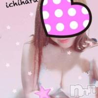 新潟人妻デリヘル 人妻楼　新潟店(ヒトヅマロウ　ニイガタテン)の5月31日お店速報「みんな大好き♪「業界未経験！若奥様」出勤中」