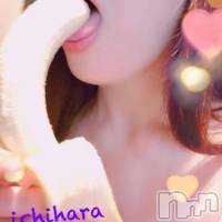 新潟人妻デリヘル 人妻楼　新潟店(ヒトヅマロウ　ニイガタテン)の10月9日お店速報「濃厚フェラで吸い尽くされてしまってください♪」