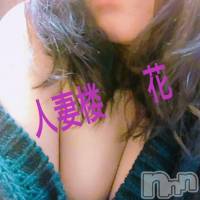 新潟人妻デリヘル 人妻楼　新潟店(ヒトヅマロウ　ニイガタテン)の10月24日お店速報「若奥様～熟女まで…多彩なタイプの奥様達出勤中☆」