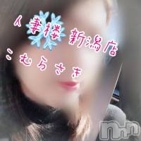 新潟人妻デリヘル 人妻楼　新潟店(ヒトヅマロウ　ニイガタテン)の12月30日お店速報「ヌキ納めは人妻楼でいかがでしょうか♪」