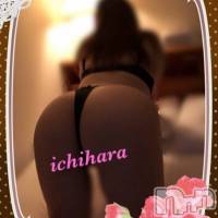 新潟人妻デリヘル 人妻楼　新潟店(ヒトヅマロウ　ニイガタテン)の11月14日お店速報「アナタ好みの奥様が大集結！迷っちゃう～♪」