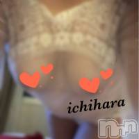 新潟人妻デリヘル 人妻楼　新潟店(ヒトヅマロウ　ニイガタテン)の6月2日お店速報「おススメ奥様最短5分でご案内可能です♪」