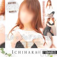 新潟人妻デリヘル 人妻楼　新潟店(ヒトヅマロウ　ニイガタテン)の12月20日お店速報「心から満たされる居心地の良いひとときをお過ごし頂ける事間違いなしです！」