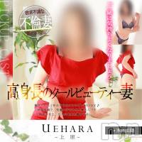 新潟人妻デリヘル 人妻楼　新潟店(ヒトヅマロウ　ニイガタテン)の1月16日お店速報「綺麗系勢揃いで大いにムラムラしちゃって下さい！！」