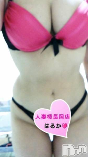 長岡デリヘル(ヒトヅマロウ　ナガオカテン)の2016年12月29日お店速報「抜き忘れはございませんか？」