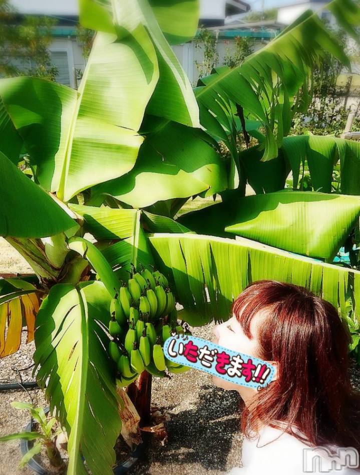 長岡デリヘル(ヒトヅマロウ　ナガオカテン)の2019年11月6日お店速報「根元から先までしゃぶりつくす濃厚なフェラは絶品♪」