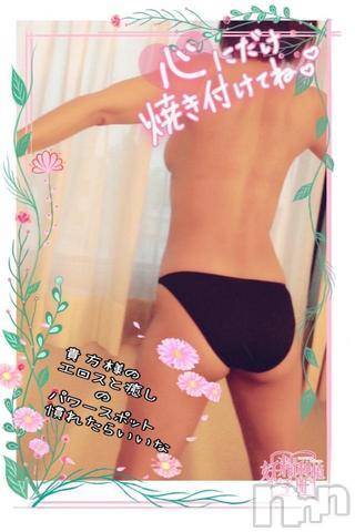 長岡デリヘル(ヒトヅマロウ　ナガオカテン)の2022年2月19日お店速報「真っ白な綺麗な肌もスベスベで触り心地抜群♪」