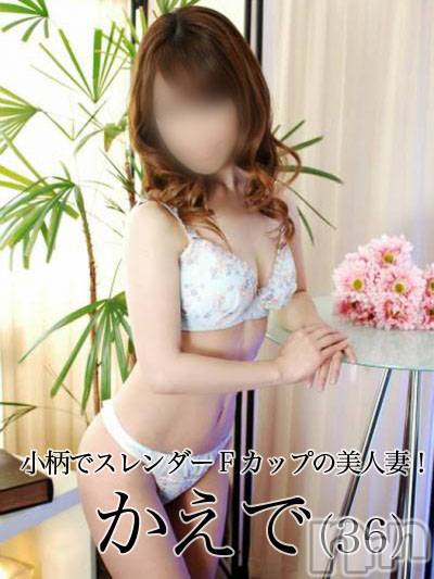 長岡デリヘル(ヒトヅマロウ　ナガオカテン)の2025年3月26日お店速報「心から満たされる居心地の良いひとときをお過ごし頂ける事間違いなしです！」