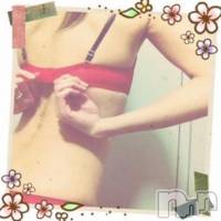 長岡デリヘル 人妻楼　長岡店(ヒトヅマロウ　ナガオカテン)の12月6日お店速報「美人奥様と一緒に快楽の虜になりましょ♪」