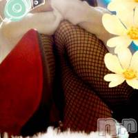 長岡デリヘル 人妻楼　長岡店(ヒトヅマロウ　ナガオカテン)の12月13日お店速報「エロ過ぎる綺麗な奥様と夢の一時♪」