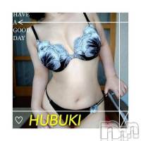 長岡デリヘル 人妻楼　長岡店(ヒトヅマロウ　ナガオカテン)の2月14日お店速報「男ウケ抜群の距離感でムラムラ120%を約束しちゃいますよ～♪」