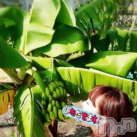 長岡デリヘル 人妻楼　長岡店(ヒトヅマロウ　ナガオカテン)の11月6日お店速報「根元から先までしゃぶりつくす濃厚なフェラは絶品♪」