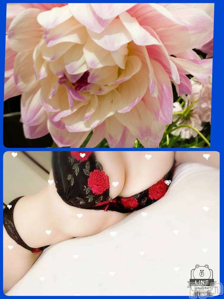 長岡デリヘル人妻楼　長岡店(ヒトヅマロウ　ナガオカテン) れん(36)の11月19日写メブログ「おはようございます」